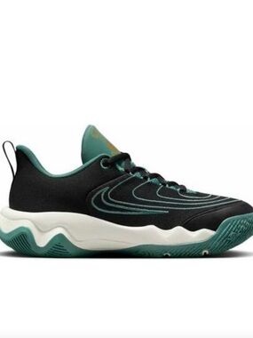Nike Giannis Immortality 4 GS - Black/Bicoastal/Metallic Gold Youth 6.5